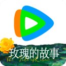 阴阳师式神上线时间表排序